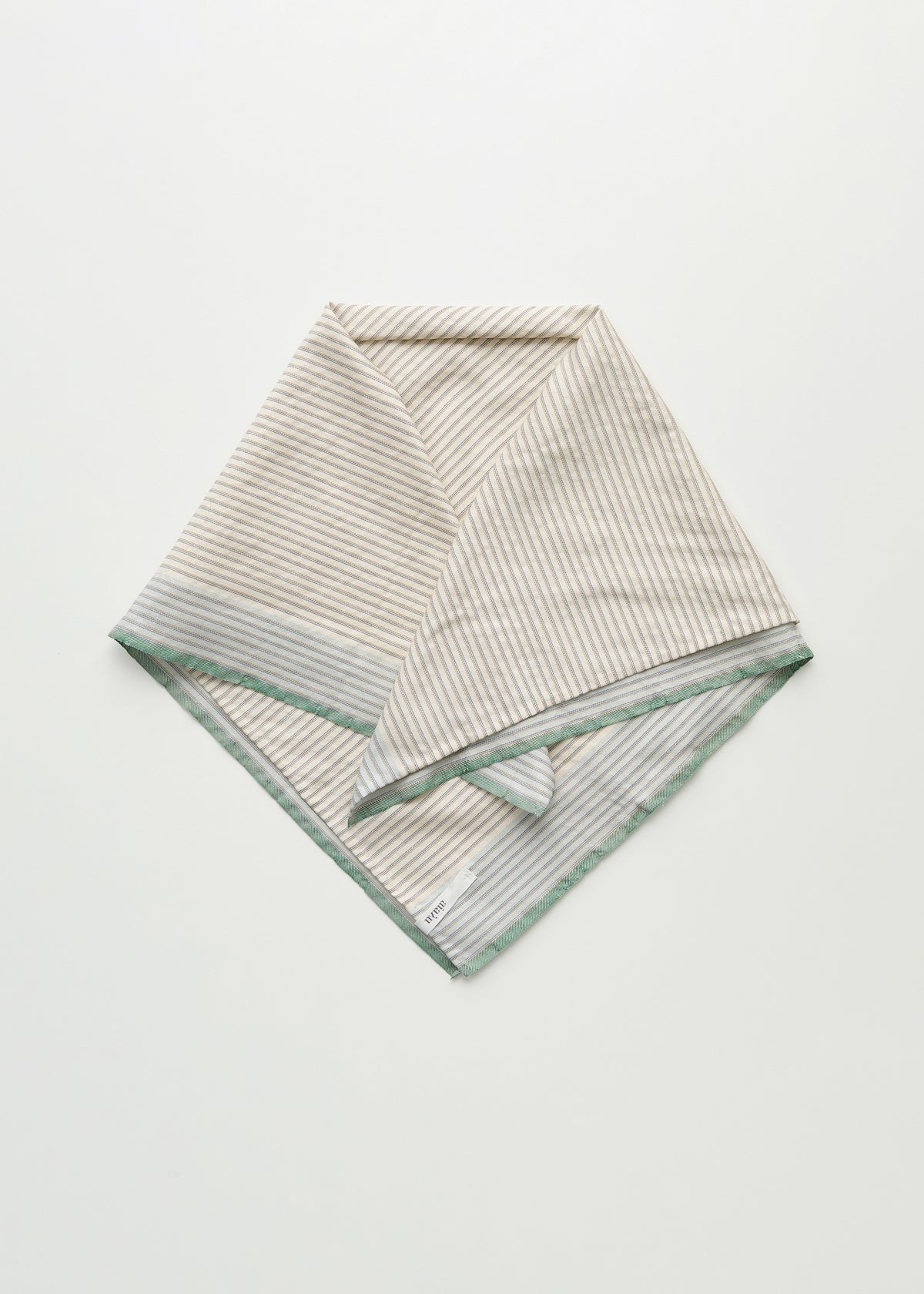 Megha scarf – silk | Mix mint Scarf aiayu
